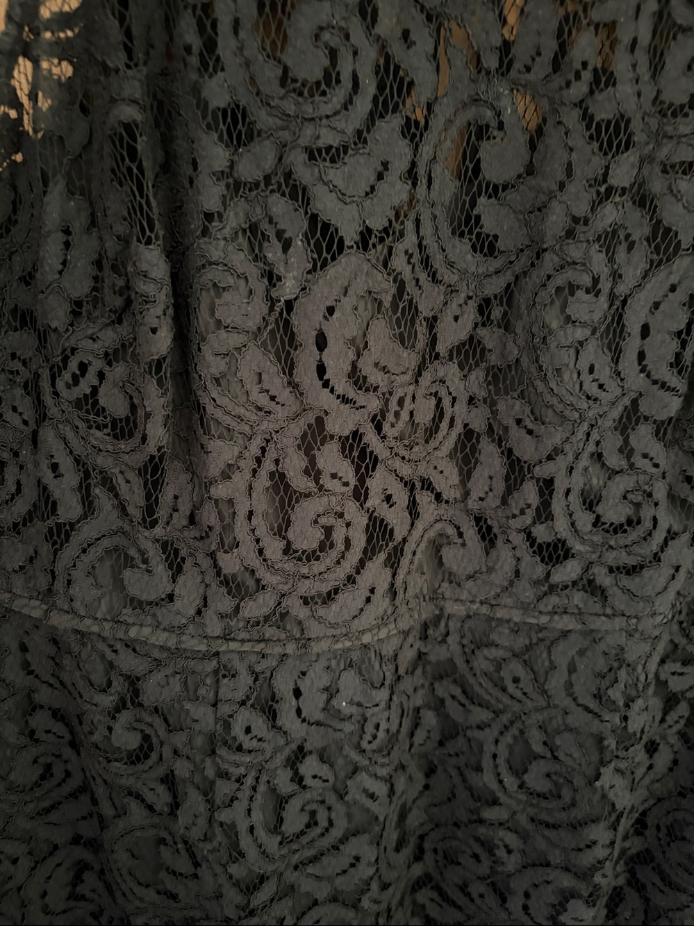 J. CREW Pamela Leavers Lace Dress with lining. SIZE 12 - Picture 5 of 11